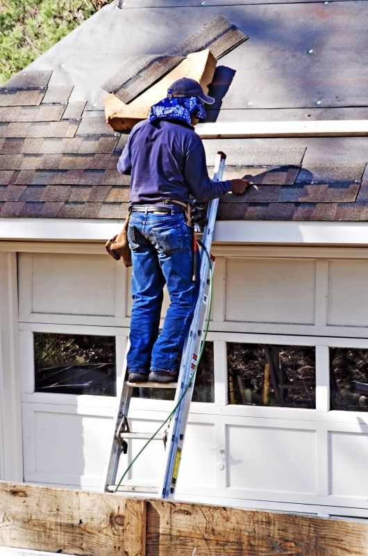 Professional Roof Repair Technician